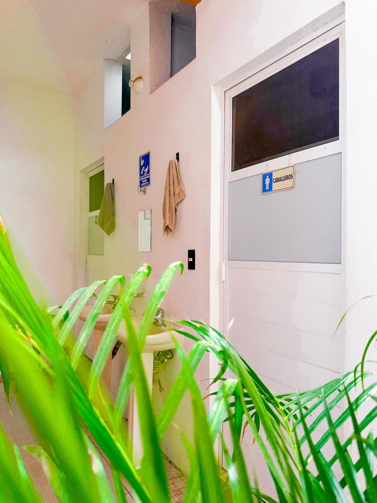 Habitacionez Hvuz Oaxaca 外观 照片