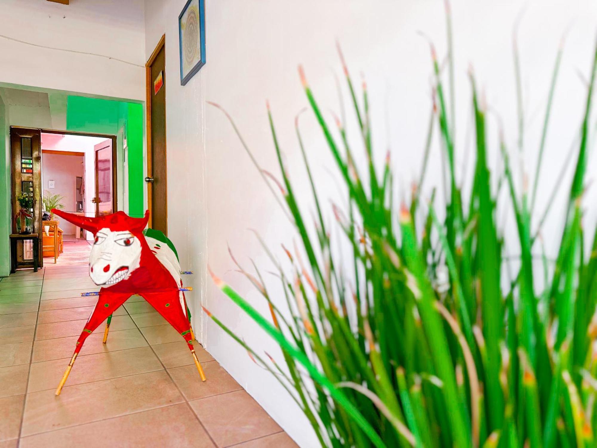 Habitacionez Hvuz Oaxaca 外观 照片