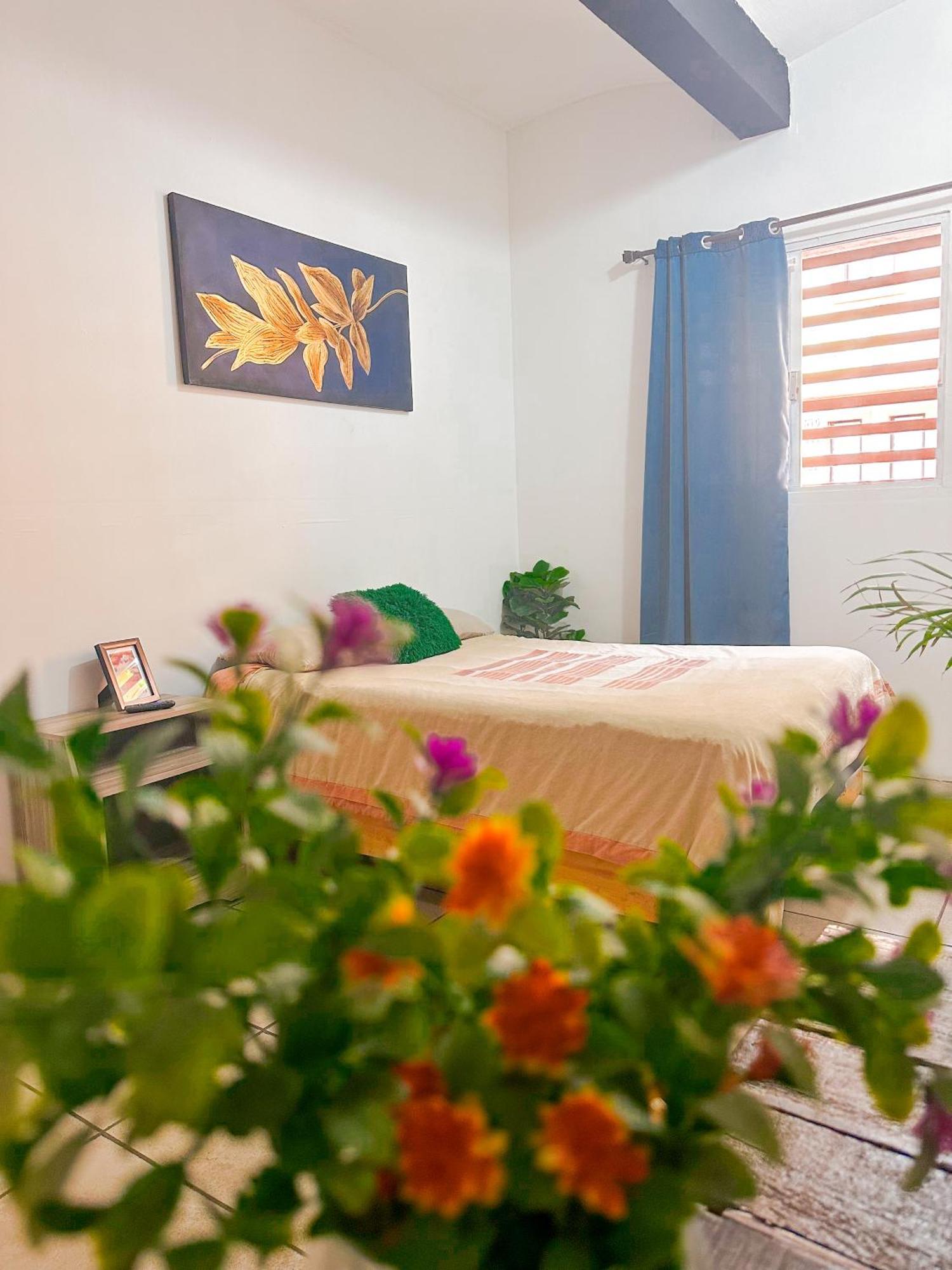 Habitacionez Hvuz Oaxaca 外观 照片