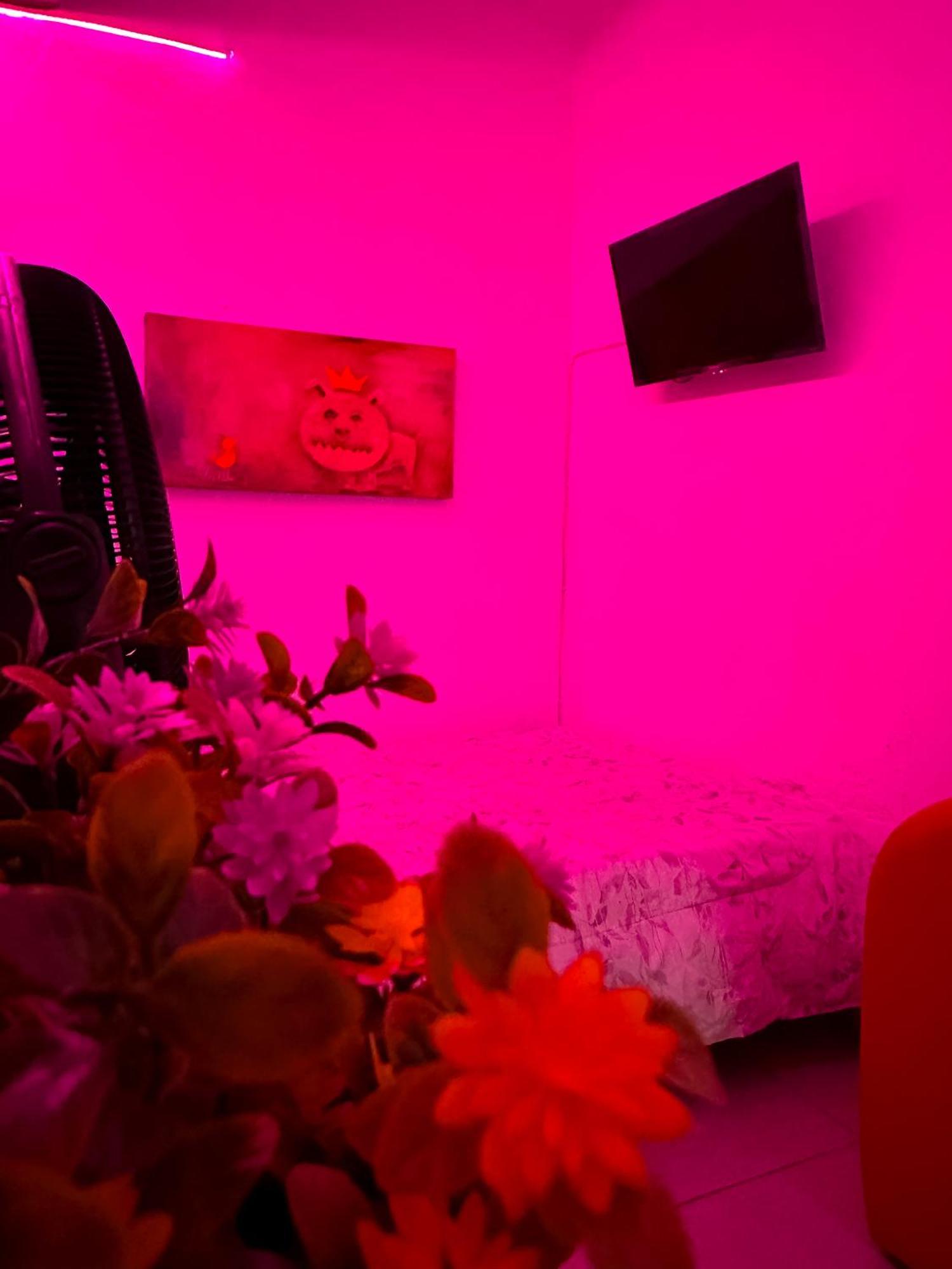 Habitacionez Hvuz Oaxaca 外观 照片